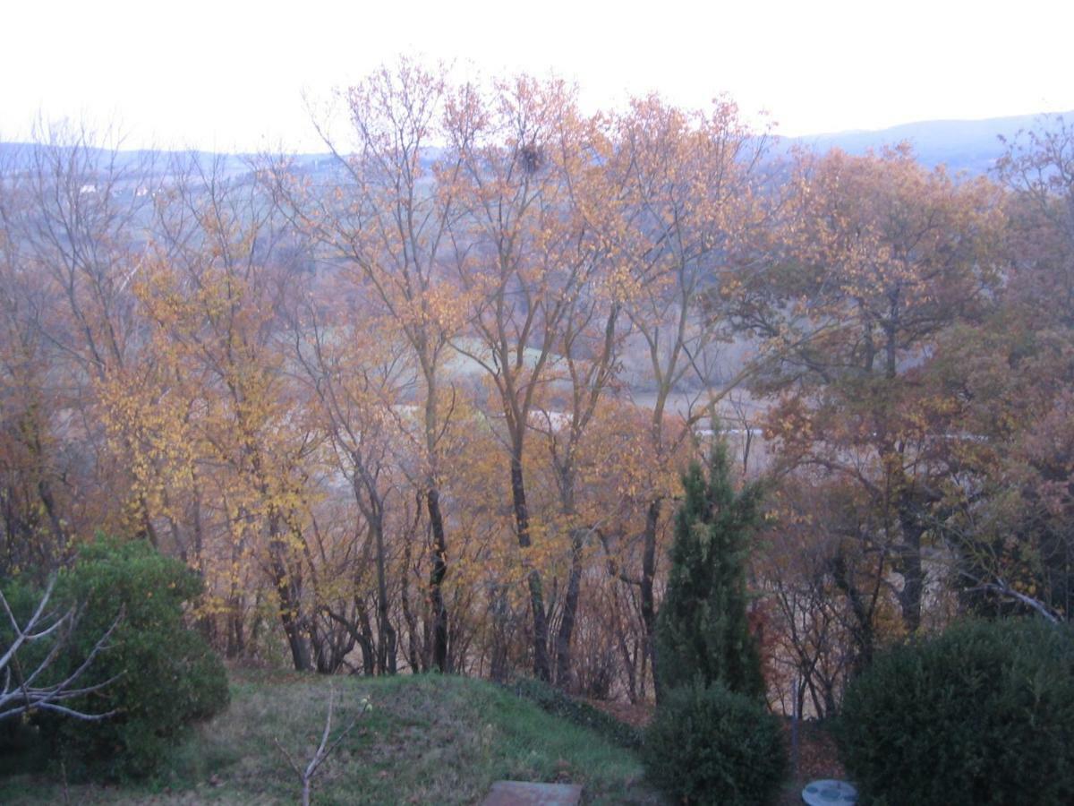 S. Bartolomeo Ii° - "La Loggetta" Apartment Montepulciano Stazione Екстериор снимка